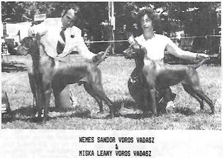 Nemes Sandor Voros Vadasz