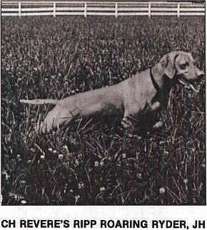 Revere's Ripp Roaring Ryder