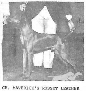 Maverick's Russet Leather