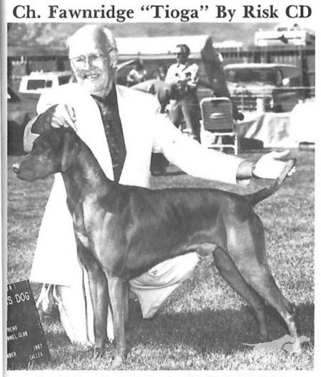 Fawnridge Tioga By Risk