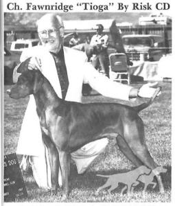 Fawnridge Tioga By Risk