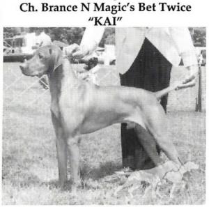 Brance N Magic's Bet Twice