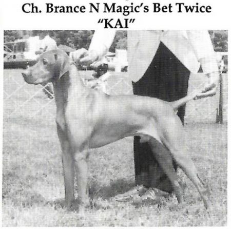Brance N Magic's Bet Twice