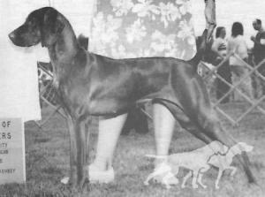 Sasco's Cinnabar Kelty