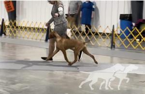 Willorunn's Ultimate Driving Force