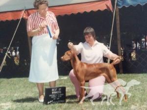Moorsend Electra
