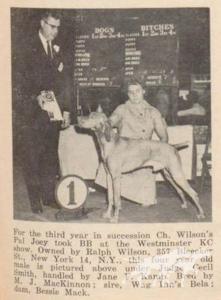 Wilson's Pal Joey