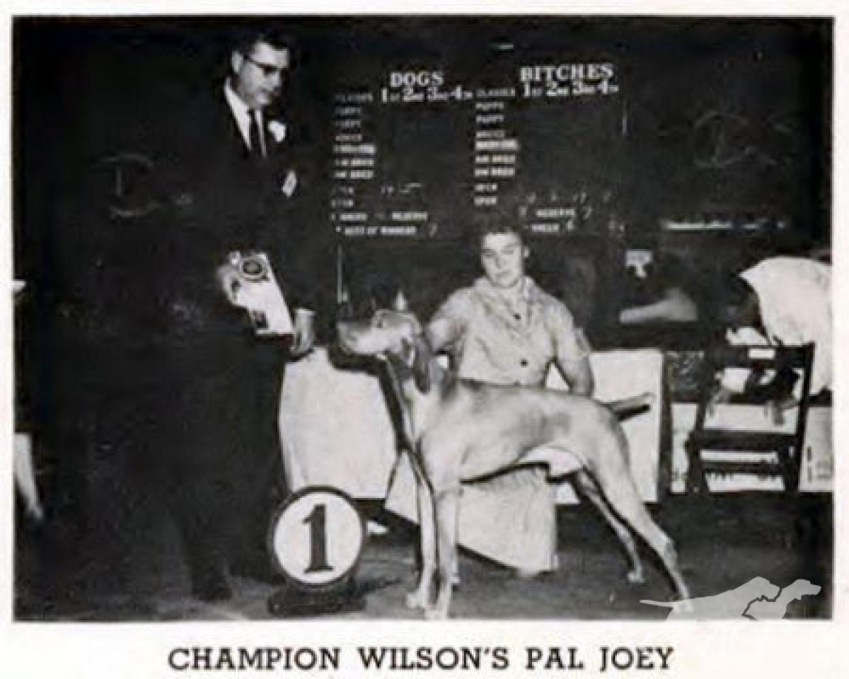 Wilson's Pal Joey