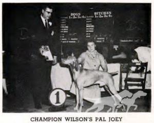 Wilson's Pal Joey