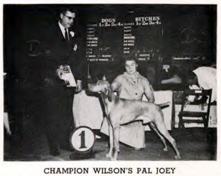 Wilson's Pal Joey