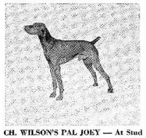 Wilson's Pal Joey