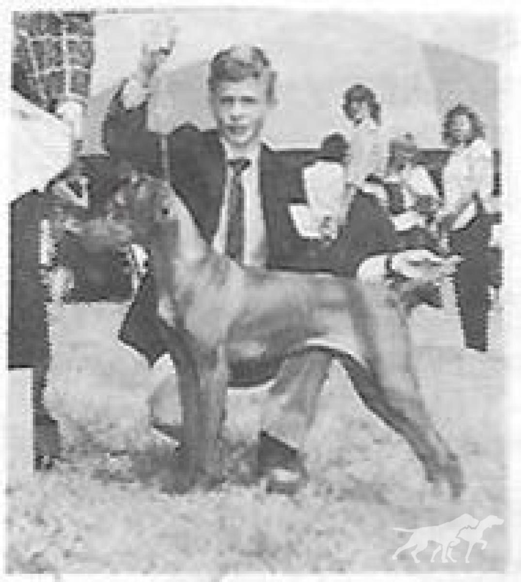 Melto's Csorny Csaba Zenesz