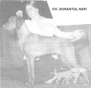 Dunantul Napi