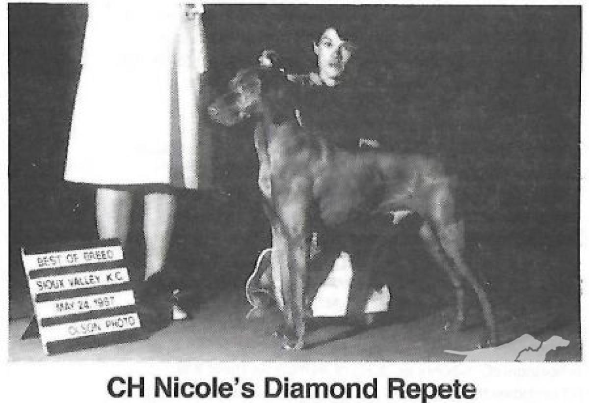Nicole's Diamond Repete