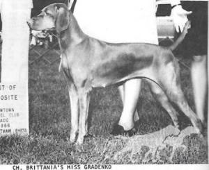 Brittania's Miss Gradenko