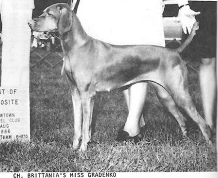 Brittania's Miss Gradenko