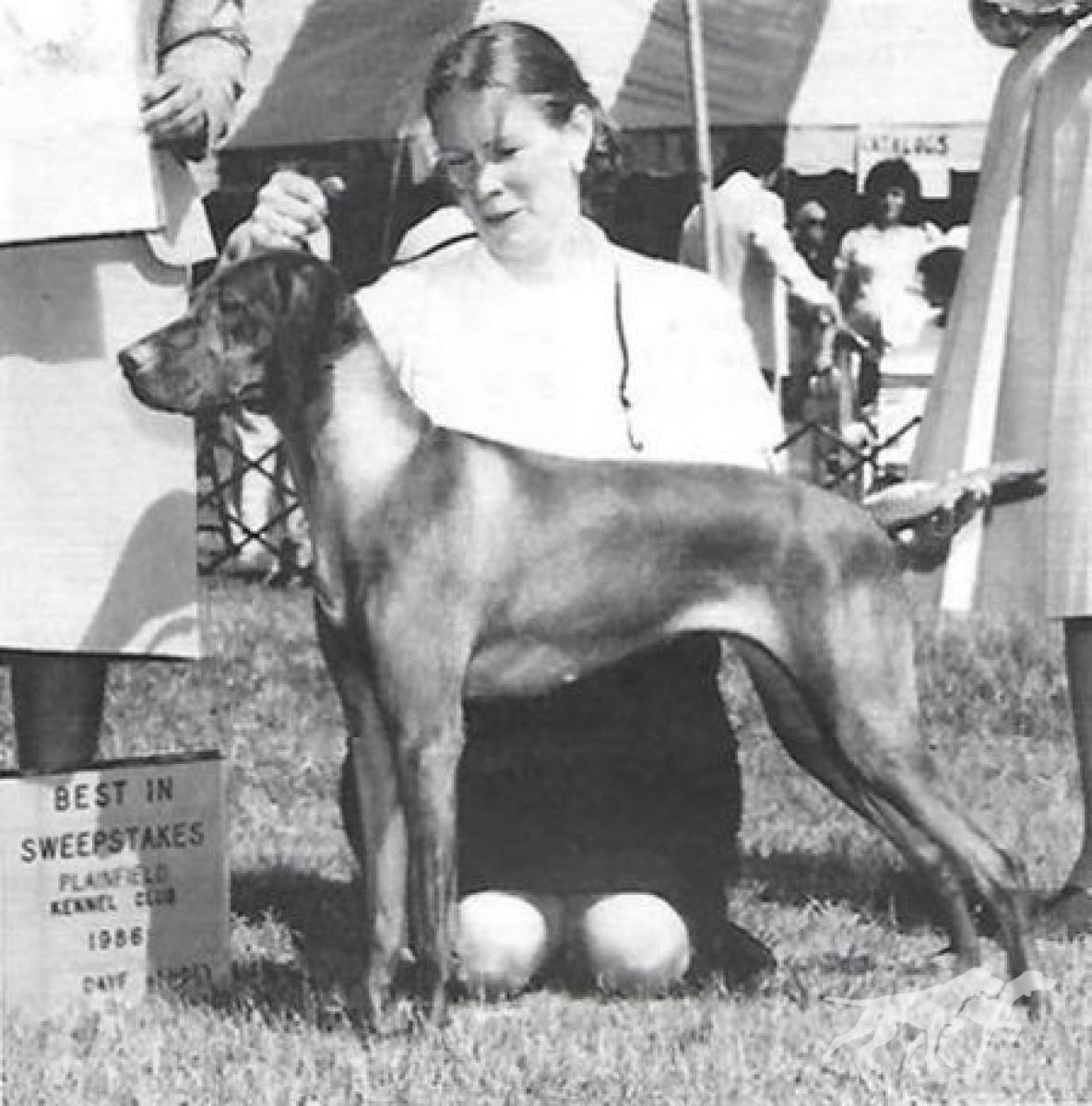 Maxfield's Mona Leany v Boelte