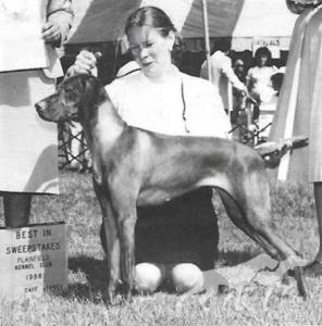 Maxfield's Mona Leany v Boelte