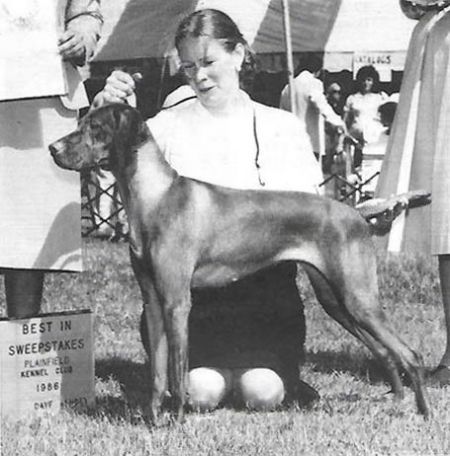 Maxfield's Mona Leany v Boelte