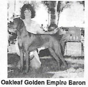 Oakleaf Golden Empire Baron