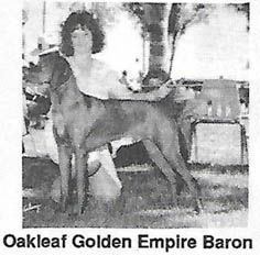 Oakleaf Golden Empire Baron