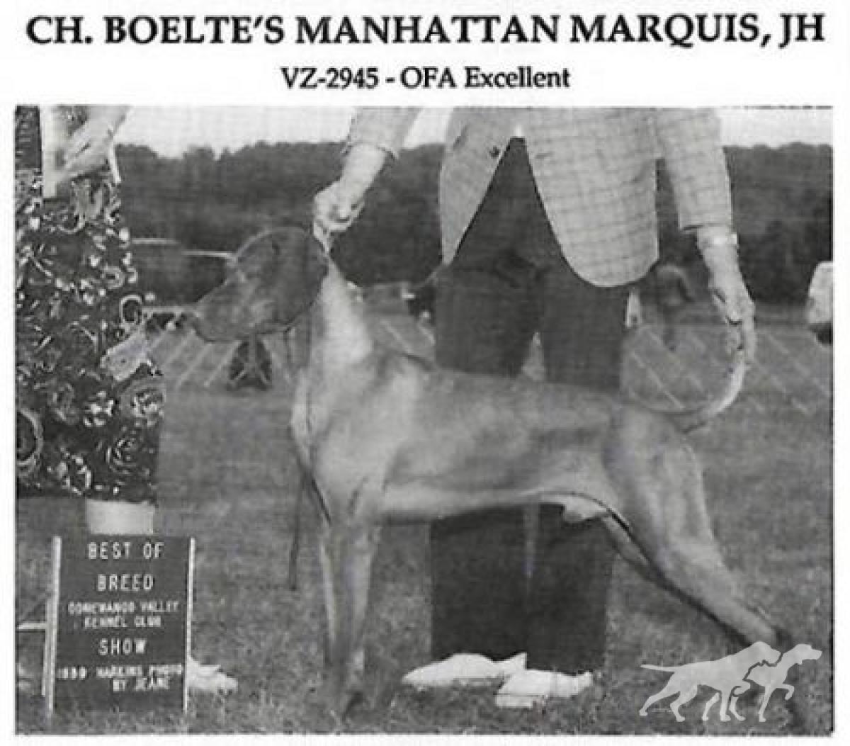 Boelte's Manhattan Marquis