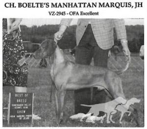 Boelte's Manhattan Marquis