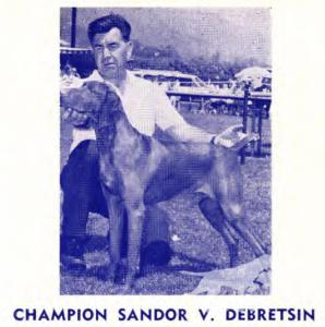 Sandor von Debretsin