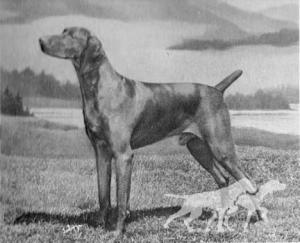 Sandor von Debretsin