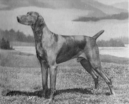 Sandor von Debretsin