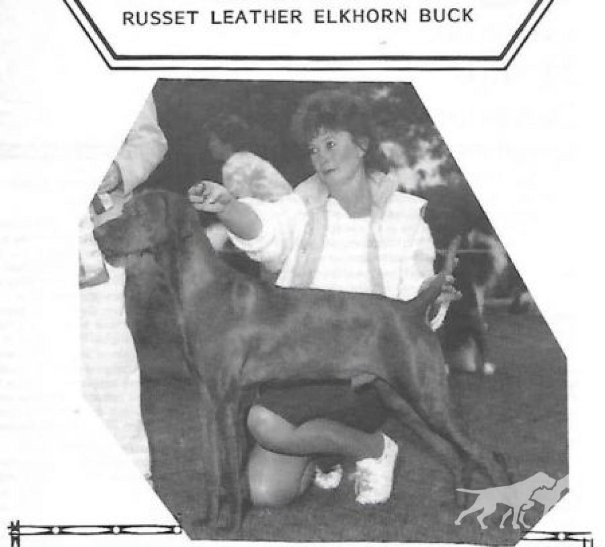 Russet Leather Elkhorn Buck