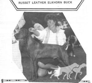 Russet Leather Elkhorn Buck