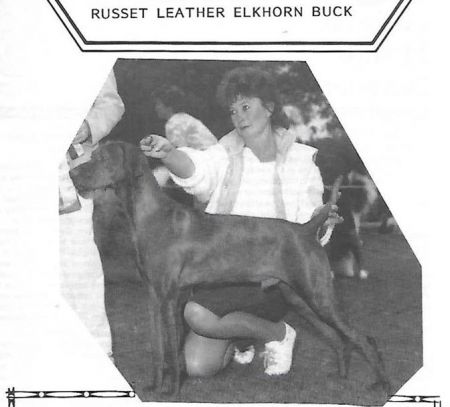 Russet Leather Elkhorn Buck