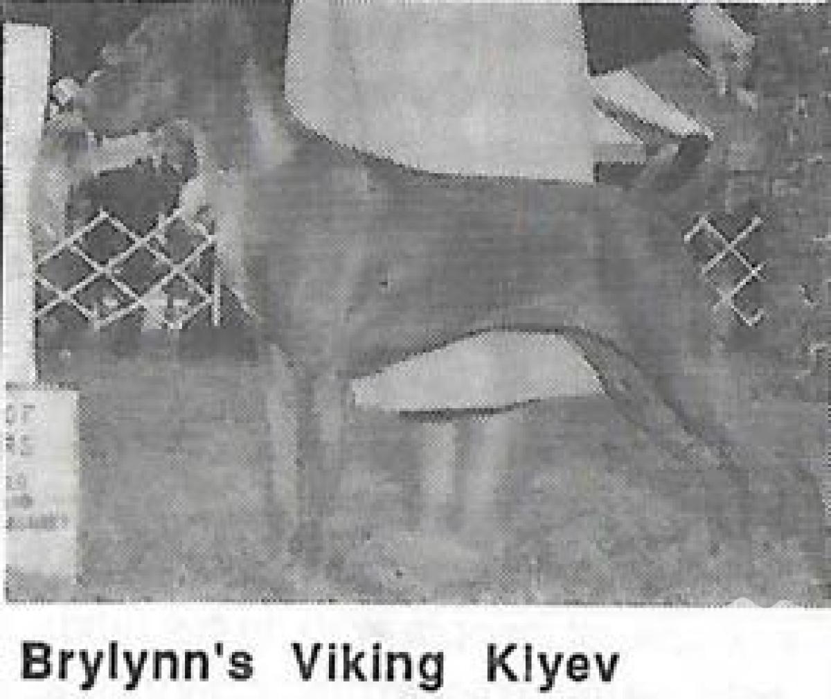 Brylynn's Viking Kiyev