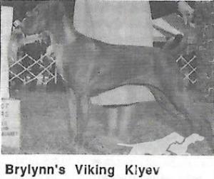 Brylynn's Viking Kiyev