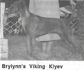 Brylynn's Viking Kiyev