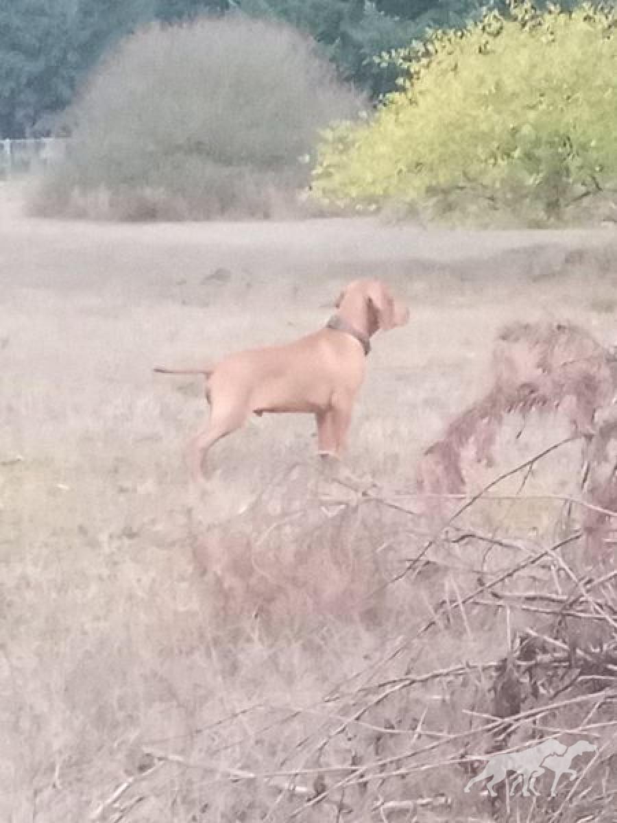 Tierah's He's On Top Of The World