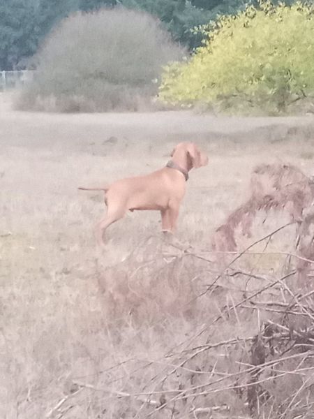 Tierah's He's On Top Of The World