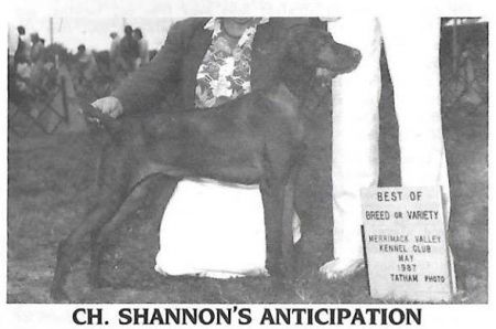 Shannon's Anticipation