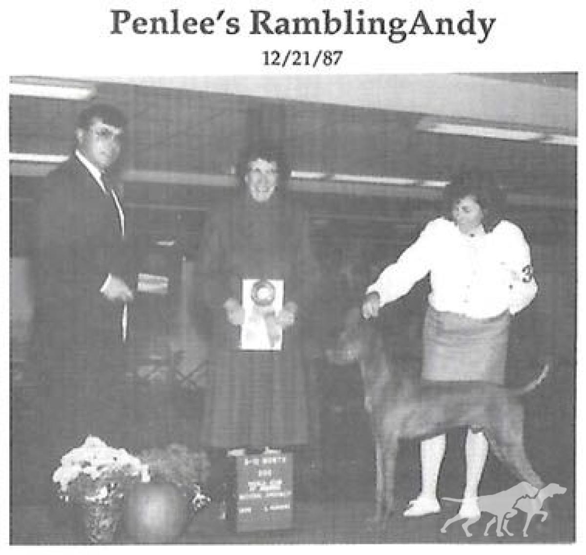 Penlee Rambling Andy