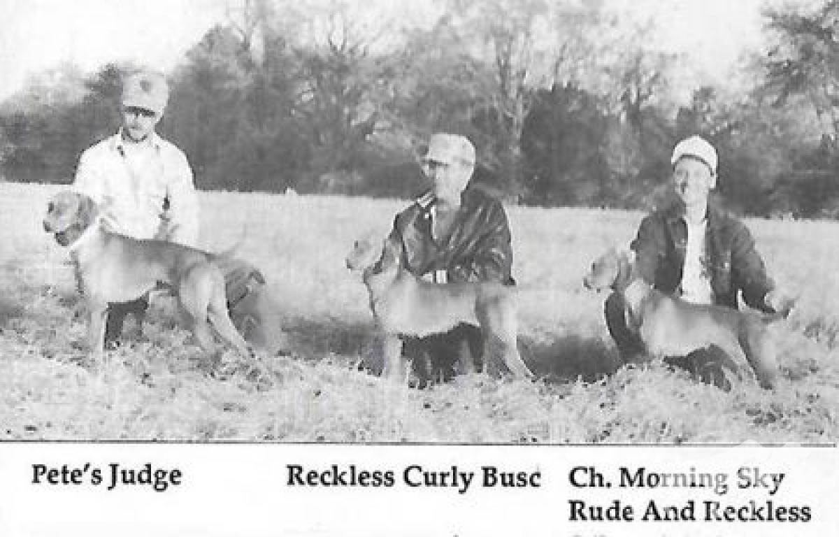 Reckless Curly Busz