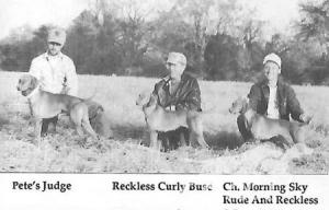 Reckless Curly Busz
