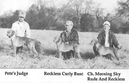 Reckless Curly Busz