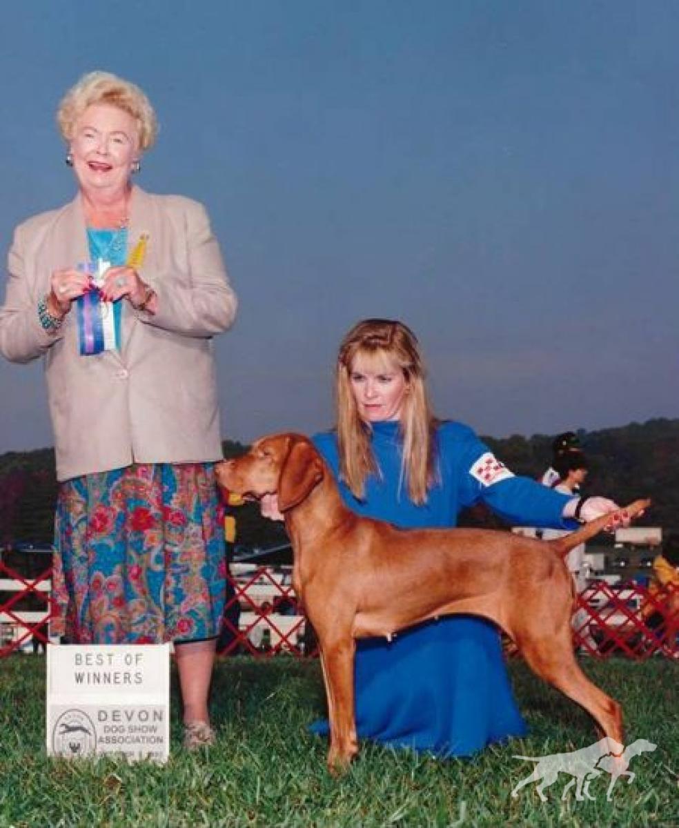 Windrode's Pretty Woman