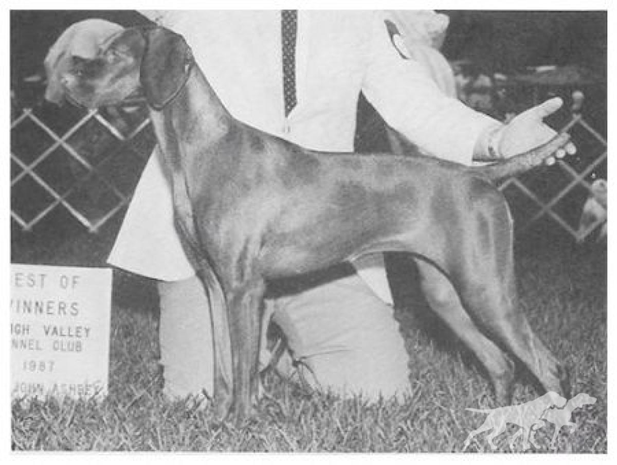 Legacy's Red Satin Doll