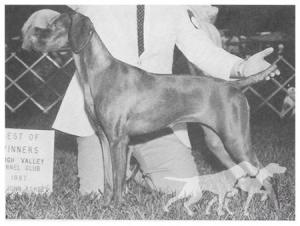 Legacy's Red Satin Doll