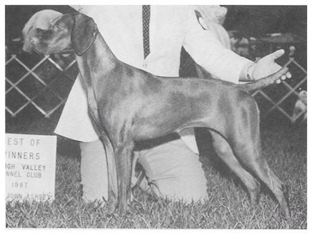 Legacy's Red Satin Doll
