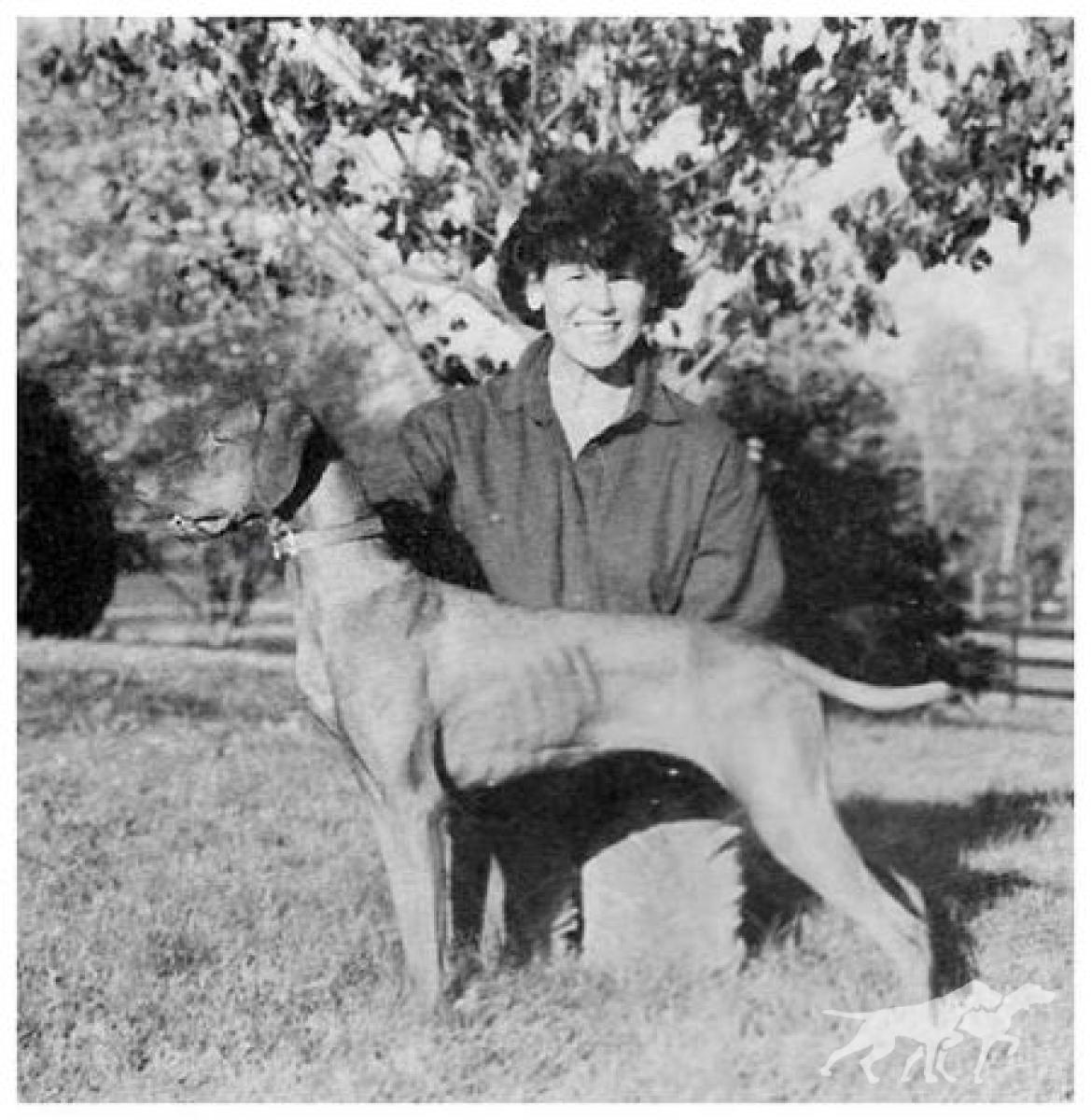 Mehagian Krc's Penni Paloma