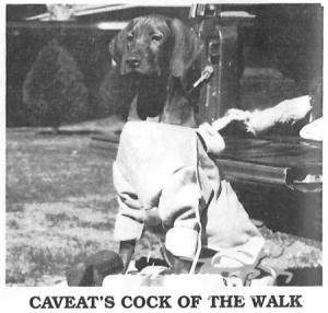 Caveat's Cock Of The Walk