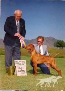 Sandy Acre's Russet Chief